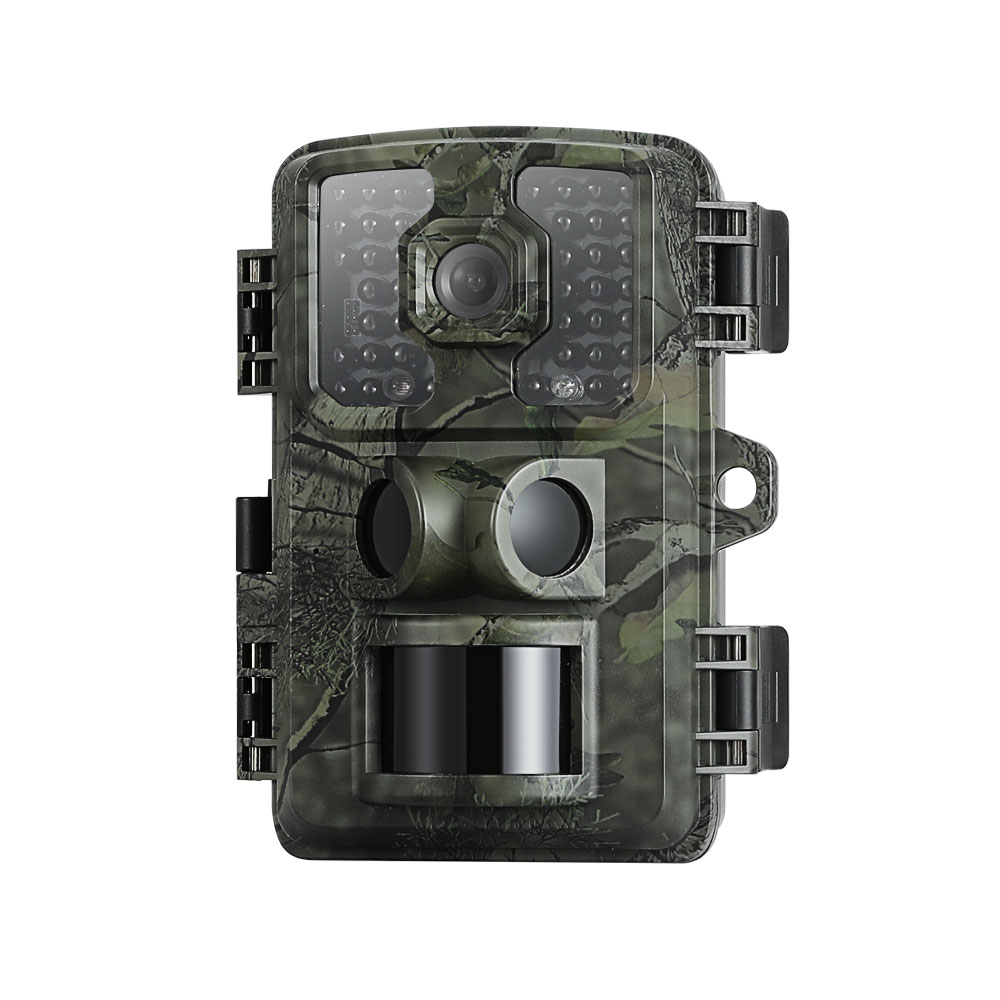 Image 2