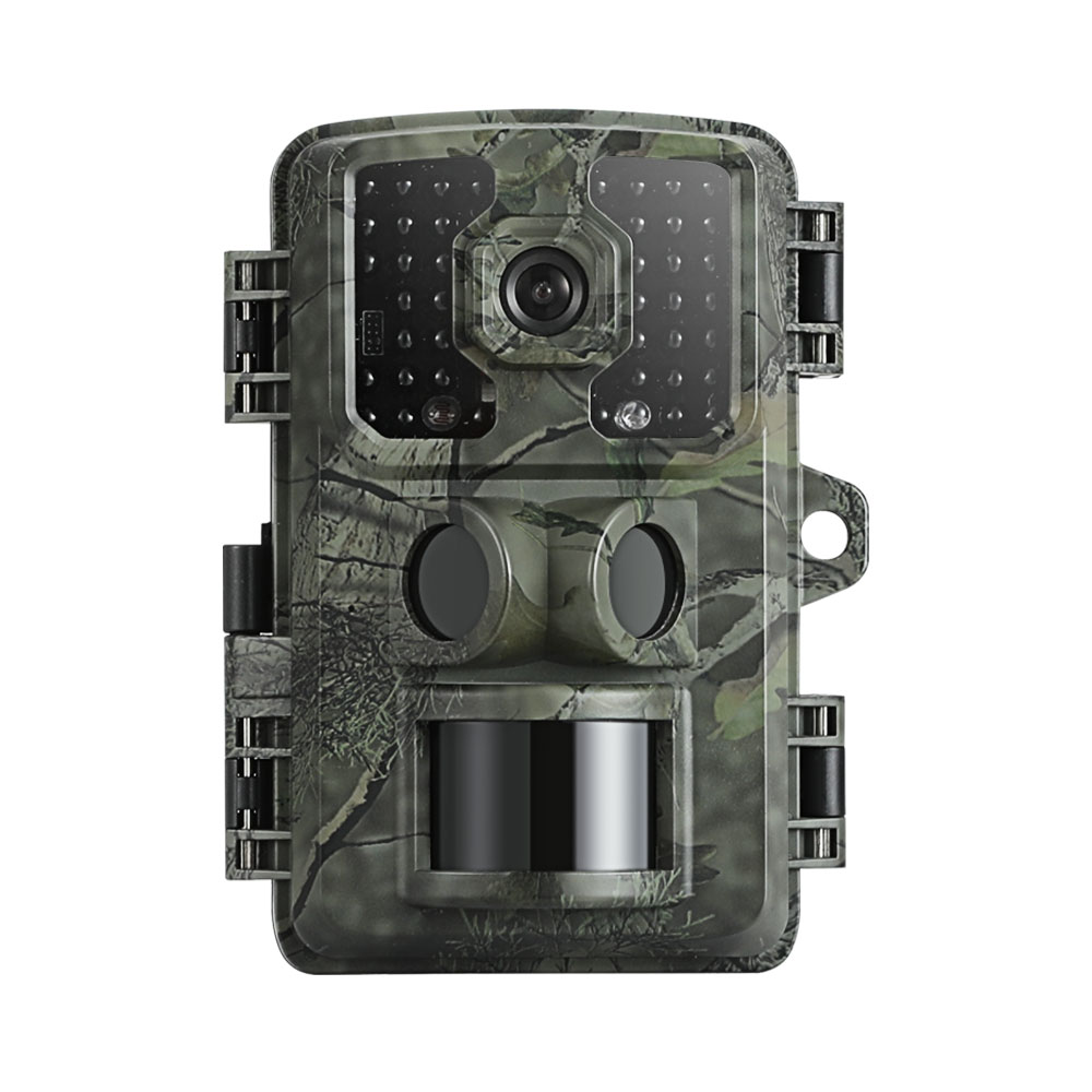 Image 4
