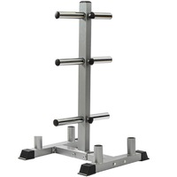 Heavy Duty Standard Size Barbell Weight Plate Holder Stand Tree Storage Rack 25mm Pegs 6 Collars
