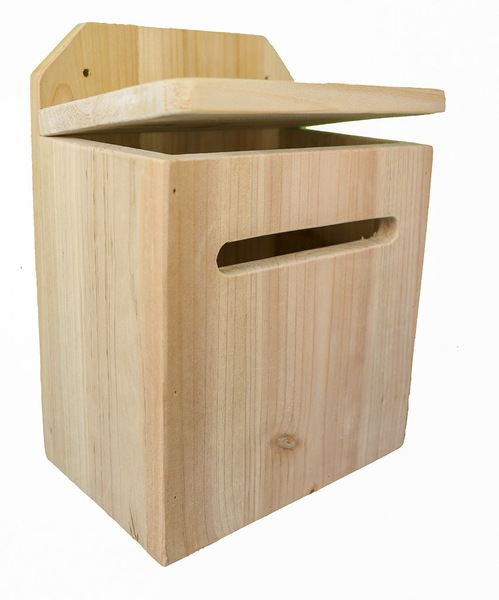 Image 8