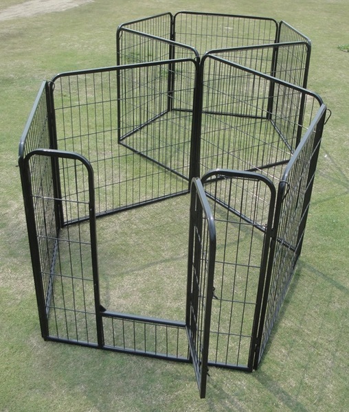Image 6