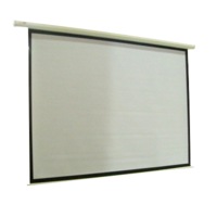 100" Electric Motorised Projector Screen TV +Remote