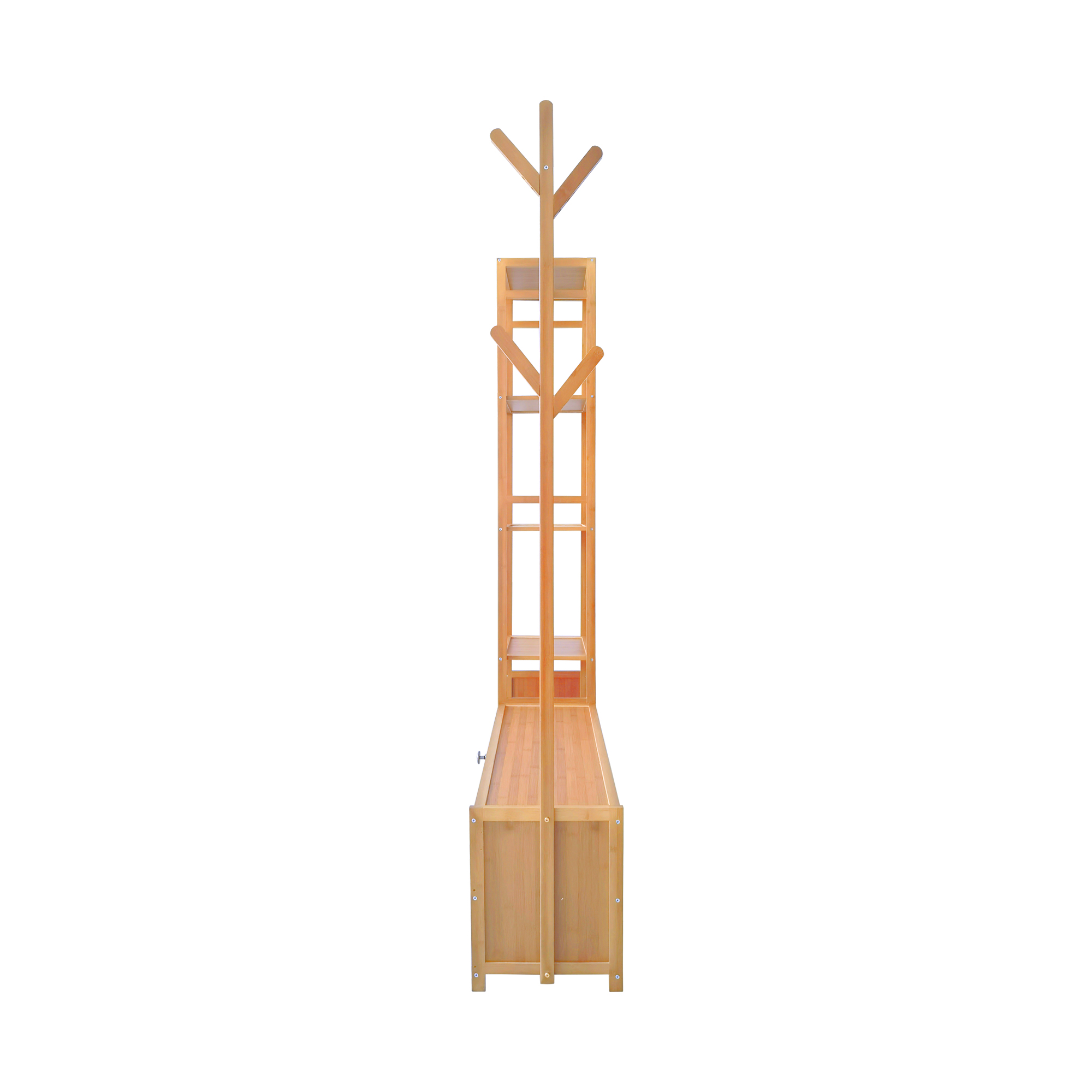 Image 5