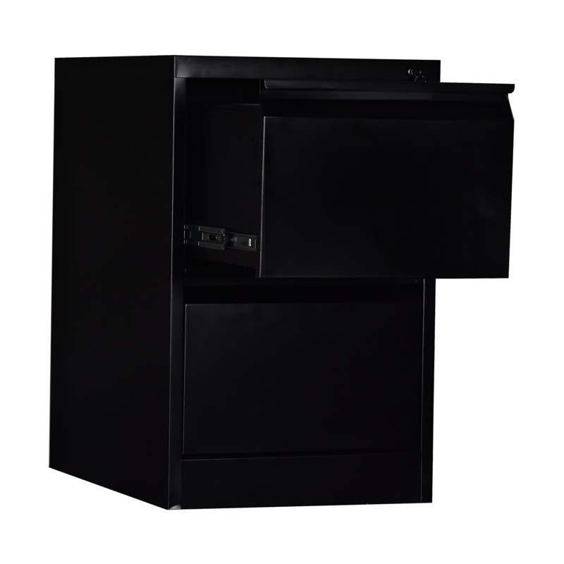 2 Drawer Shelf Office Gym Filing Storage Locker Cabinet Show Home Sales