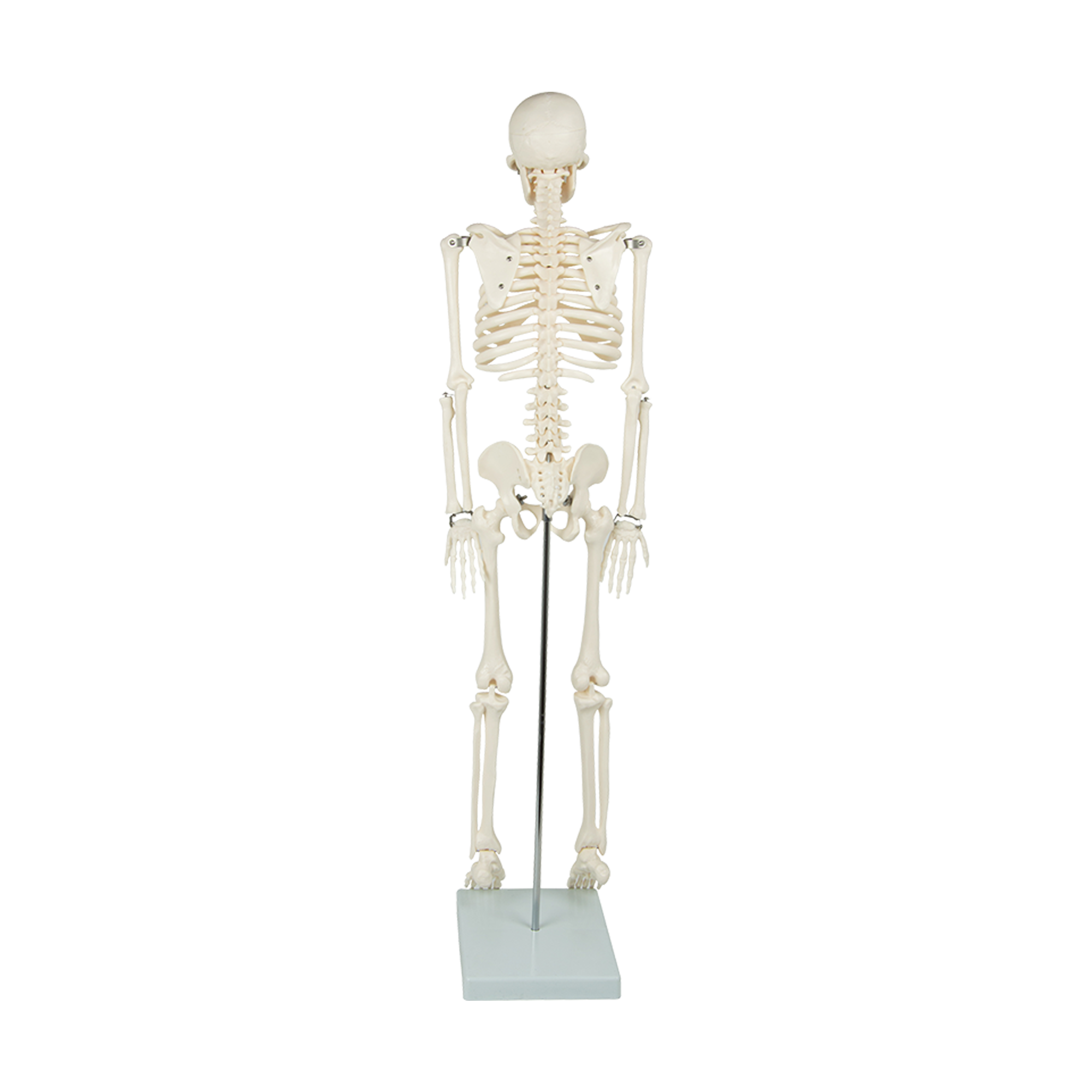 Image 7