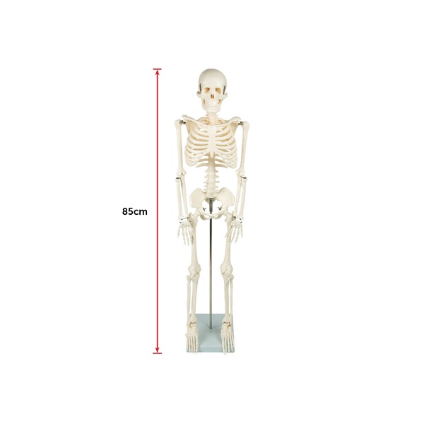 Image 11