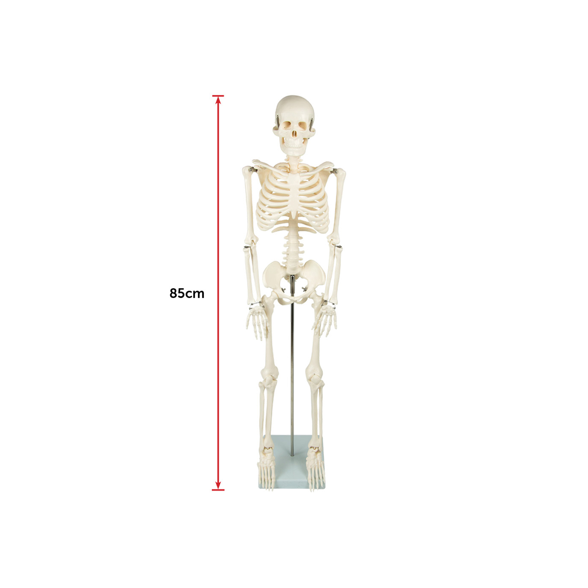 Image 11