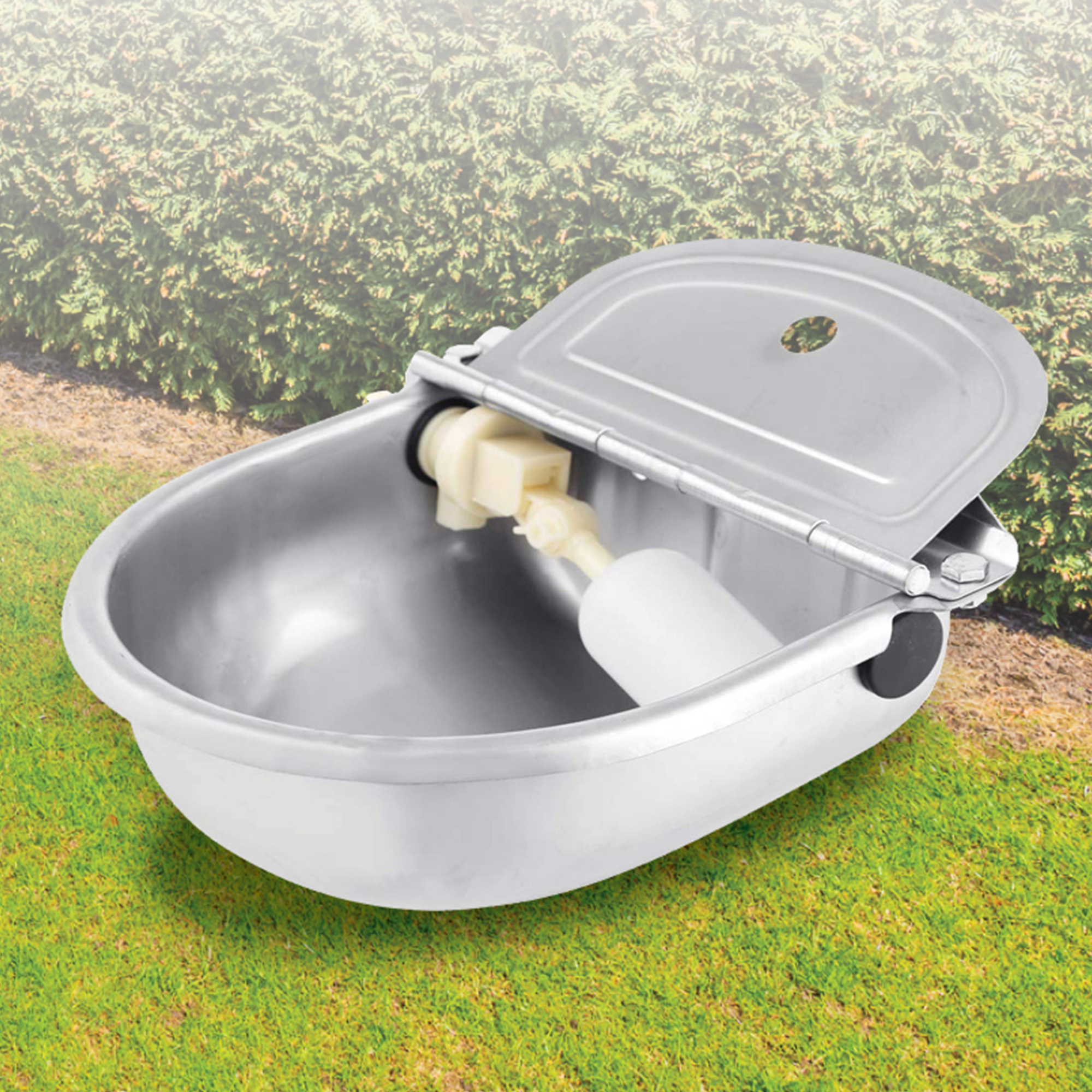 Image 2