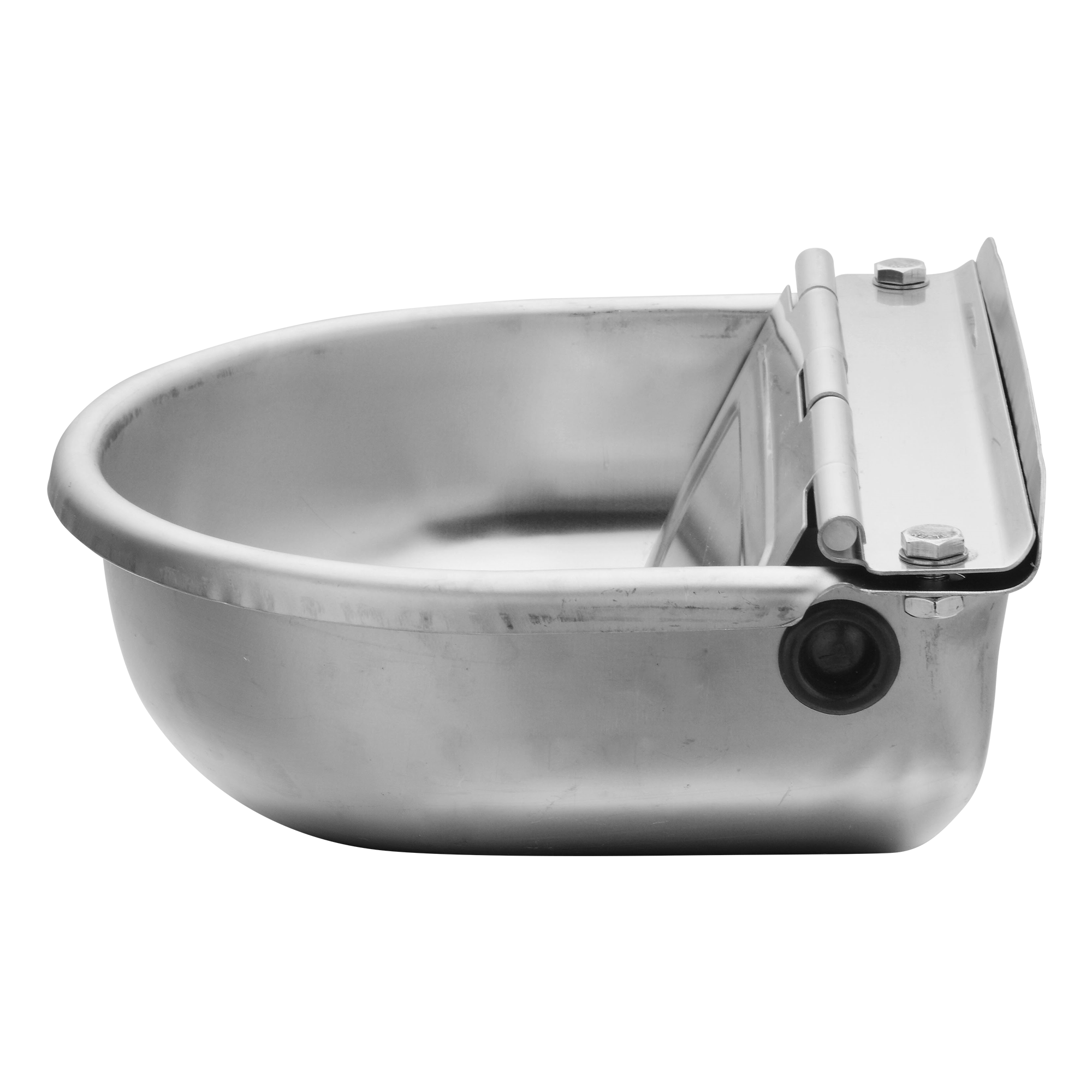 Image 4