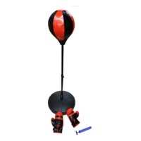 Children Punching Boxing Bag Set