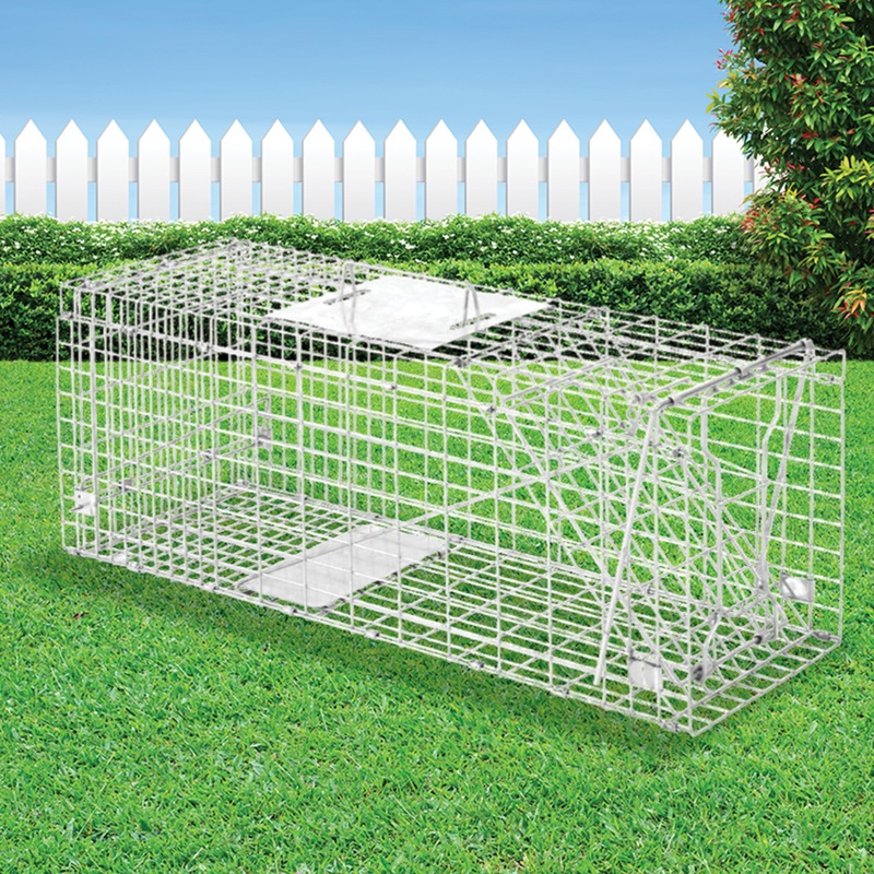 Humane Animal Trap Possum Cage Buy Animal Traps 135656