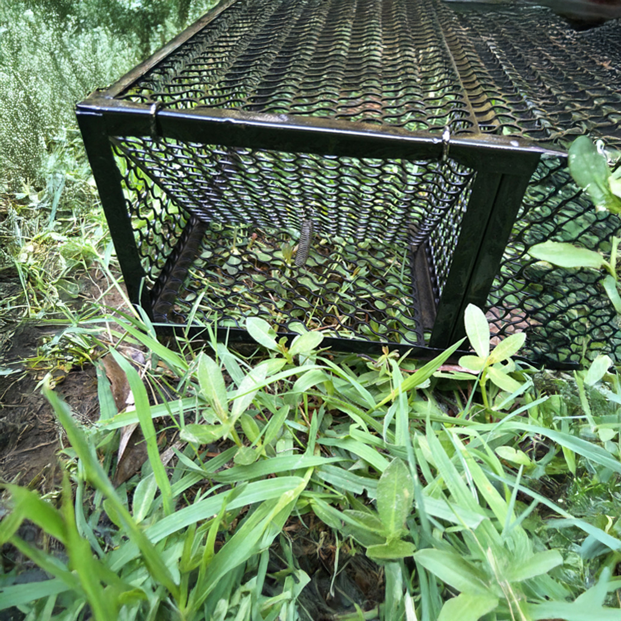 Image 8