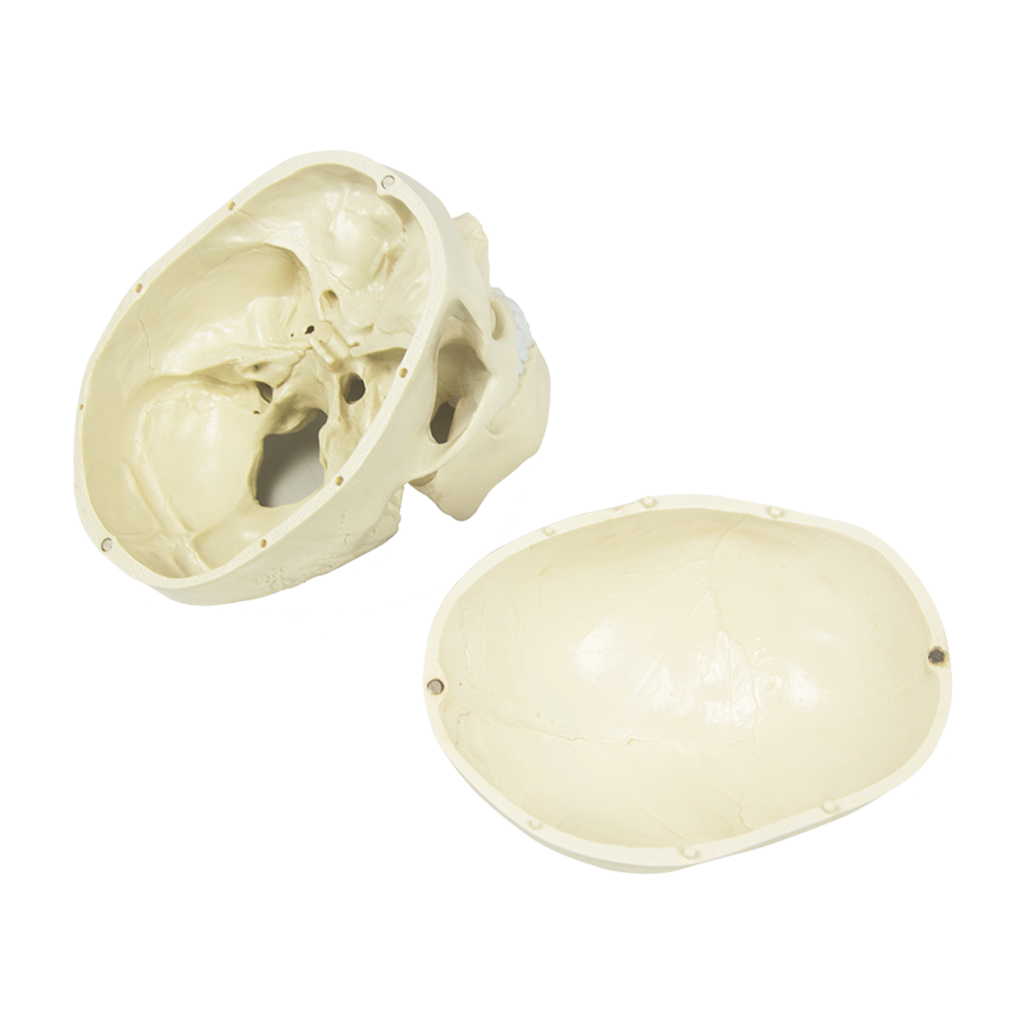 Image 8