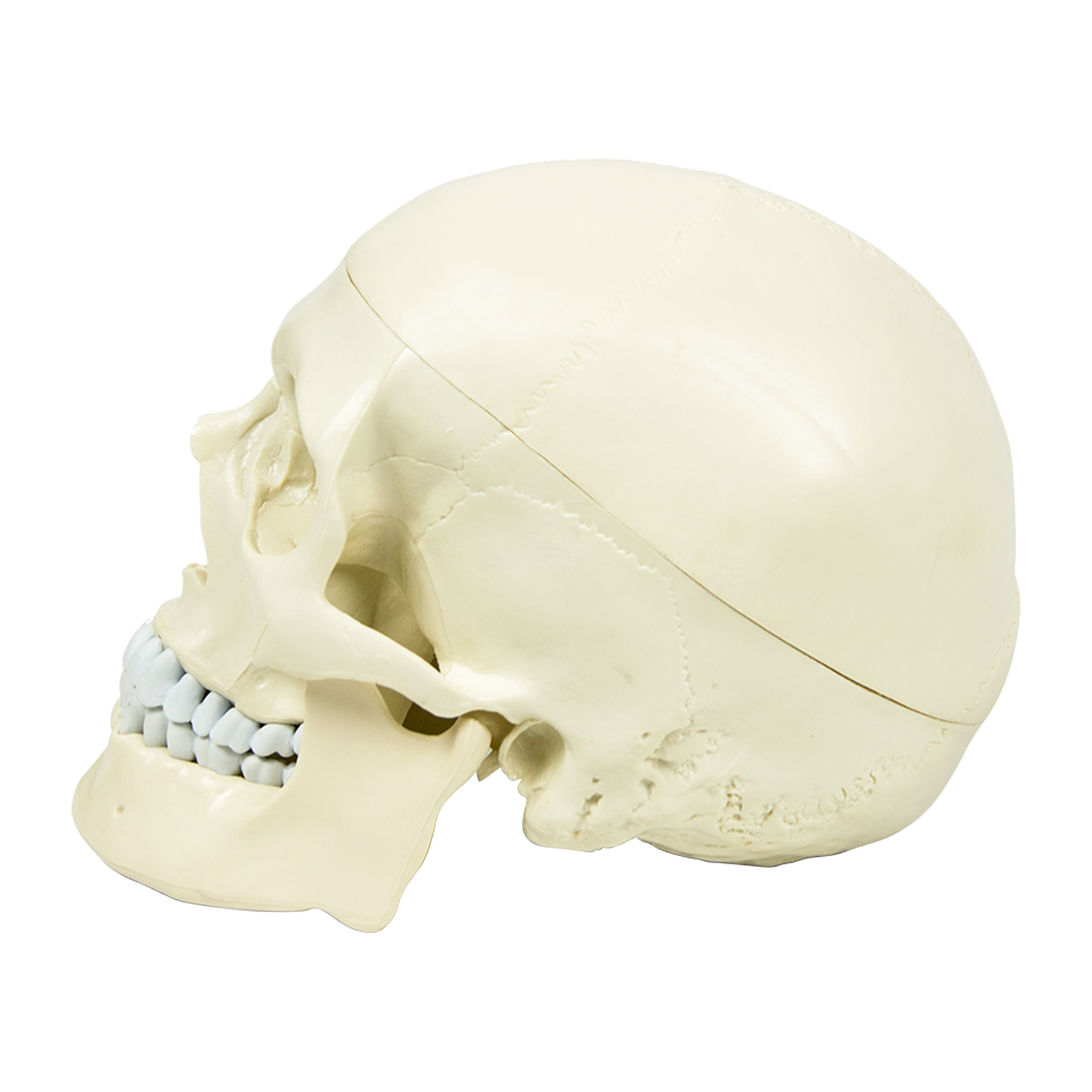 Image 9