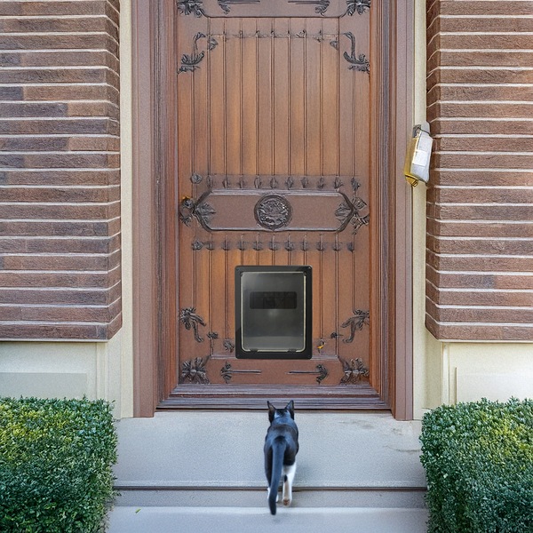 Image 8