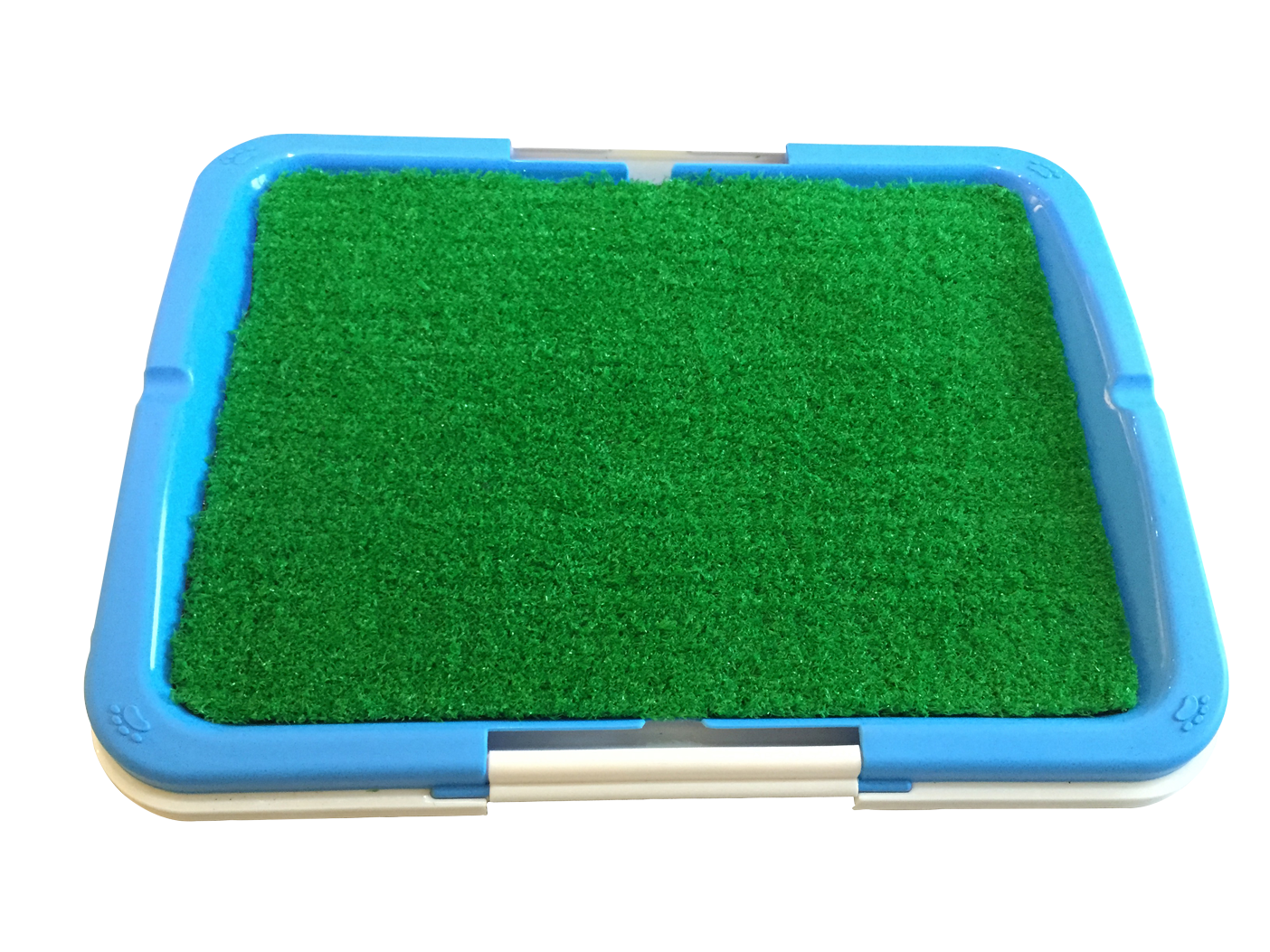 Image 4