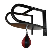 Speedball with Wall Frame Boxing Punching Bag