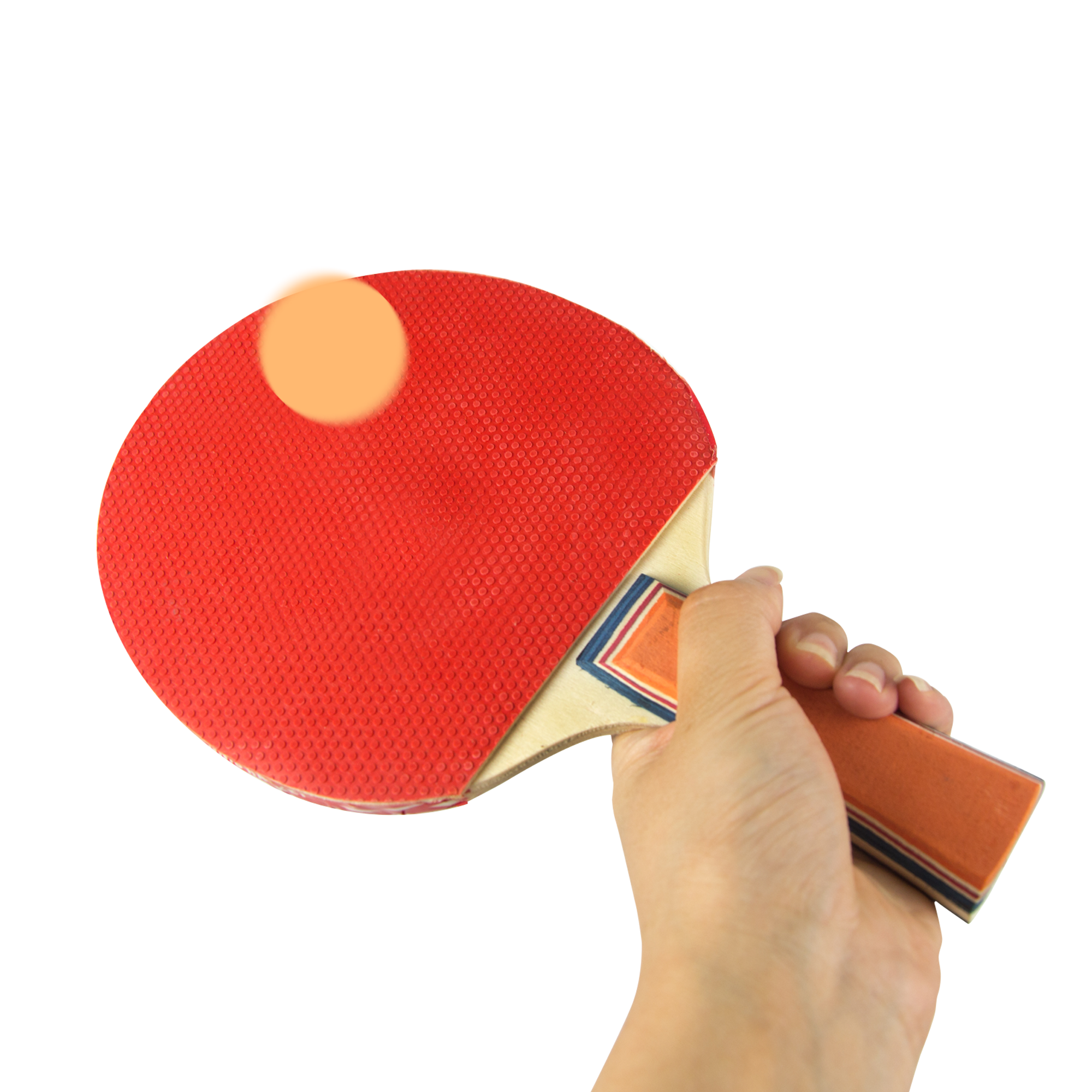 Image 7