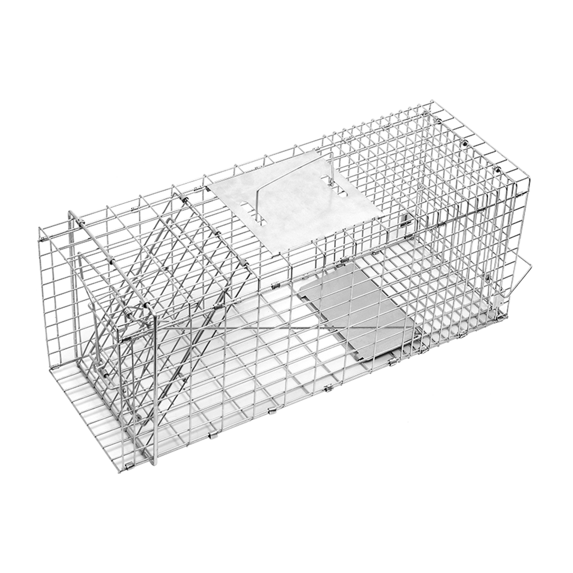 Image 5