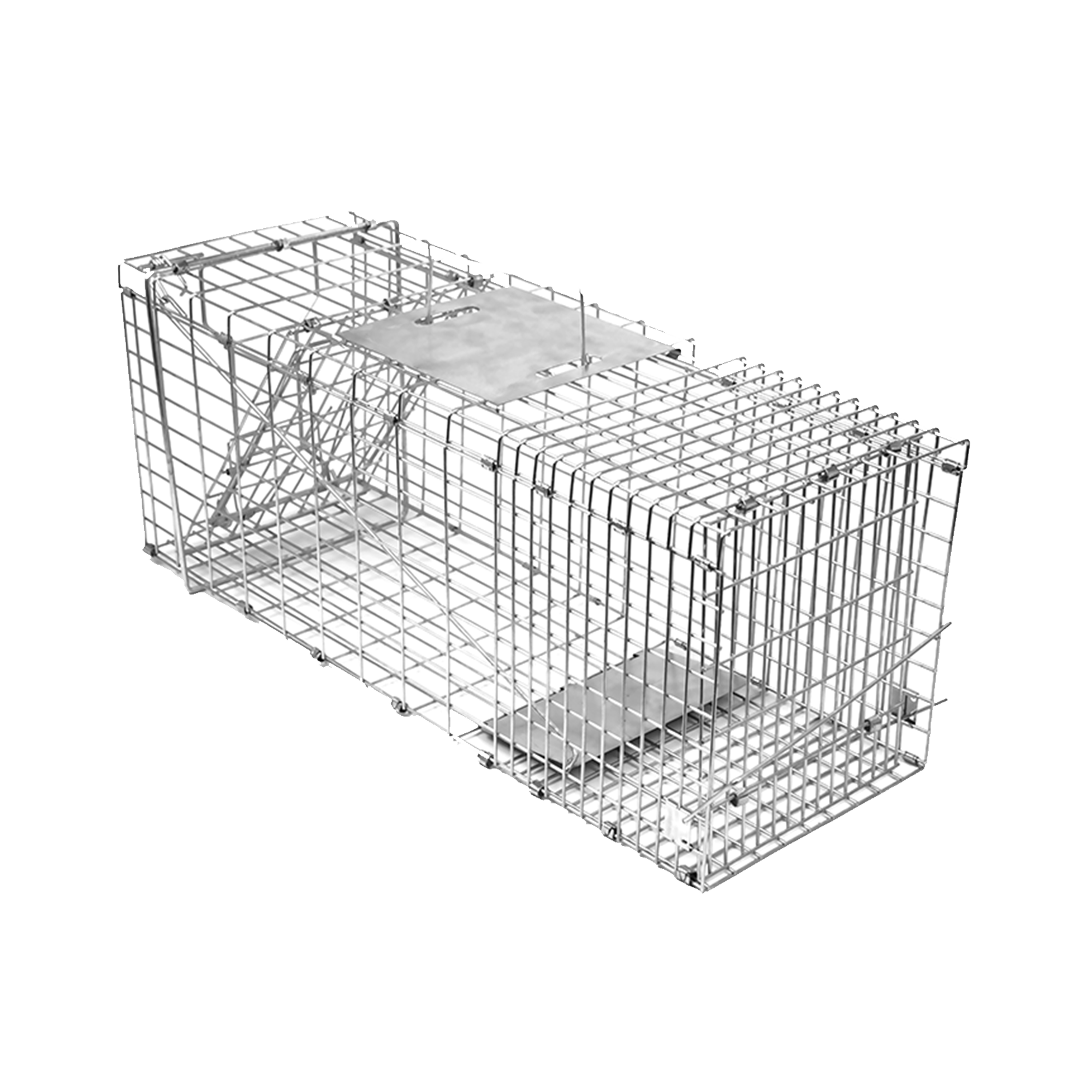 Image 6