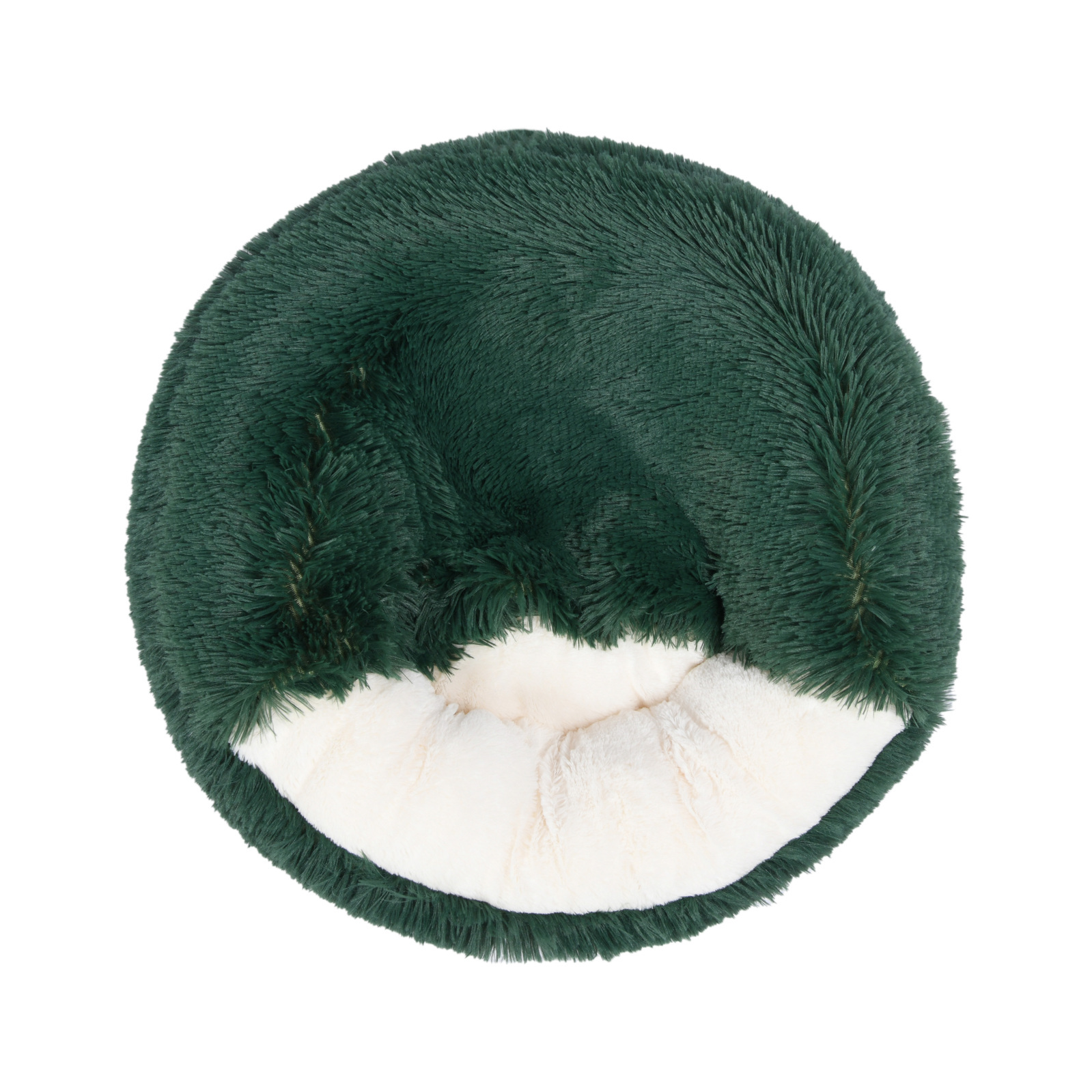 Image 7