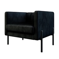Avian Velvet Accent Sofa with Steel Legs - Black Black