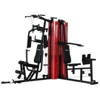 Reeplex Multi Station Home Gym with Leg Press HG2900