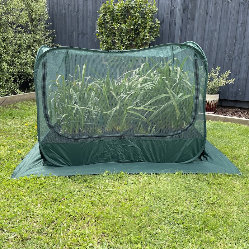 Buy Maze Garden Plant Cover 92cm (Net) - MyDeal