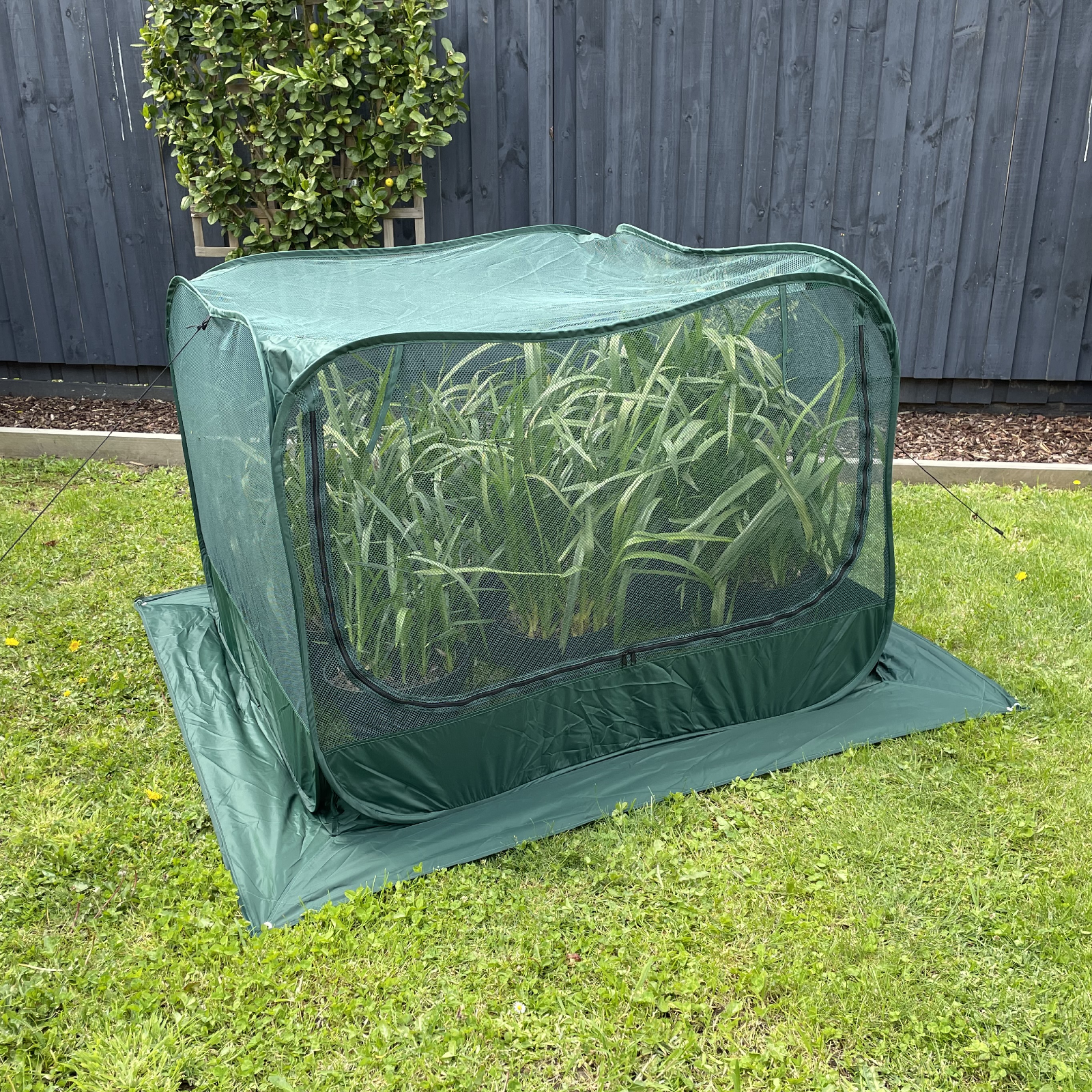 Image 3