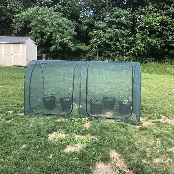 Image 5