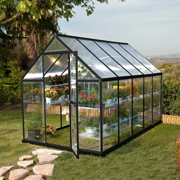 Image 7