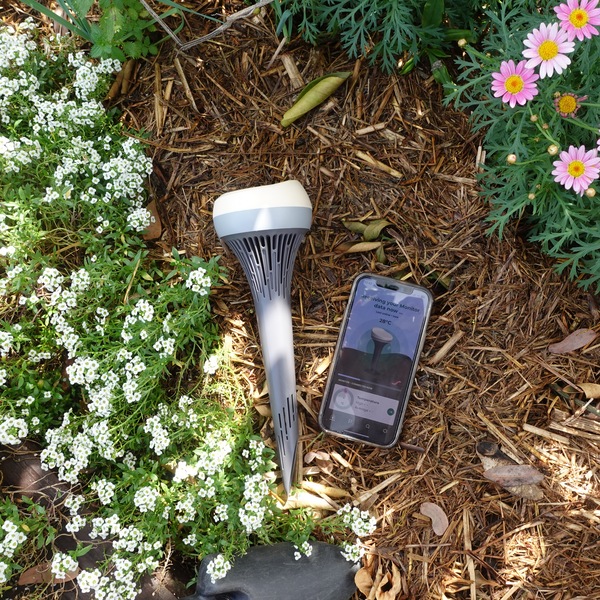 Image 4