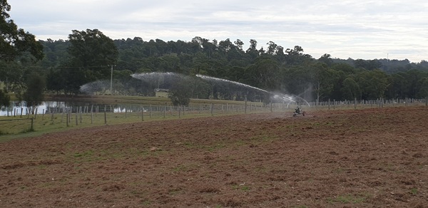 Image 10