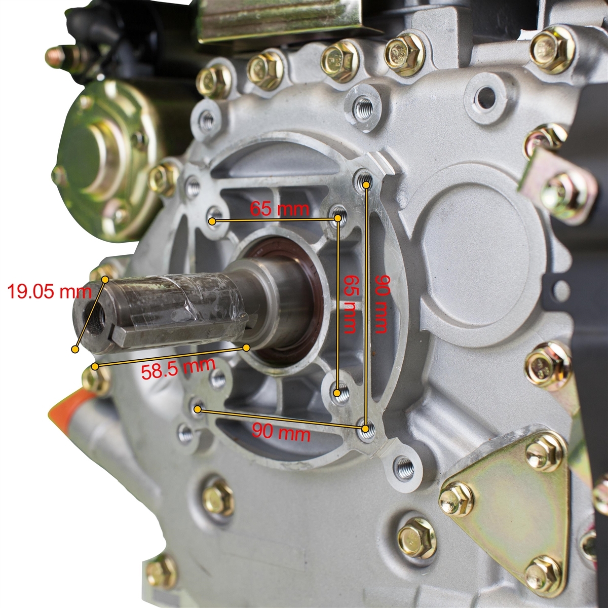 Image 6