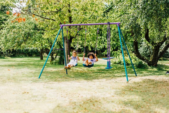 plum double swing with glider set