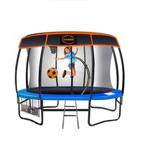 10ft Trampoline Free Safety Net Spring Pad Roof Mat Ladder Basketball - Blue