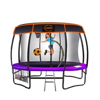 10ft Trampoline Free Safety Net Spring Pad Roof Mat Ladder Basketball - Purple