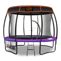 10ft Trampoline Free Safety Net Spring Pad Roof Mat Ladder - Purple
