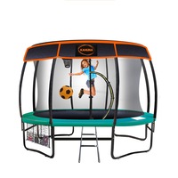 12ft Trampoline Free Safety Net Spring Pad Roof Mat Ladder Basketball - Green
