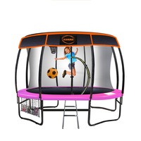 12ft Trampoline Free Safety Net Spring Pad Roof Mat Ladder Basketball - Pink