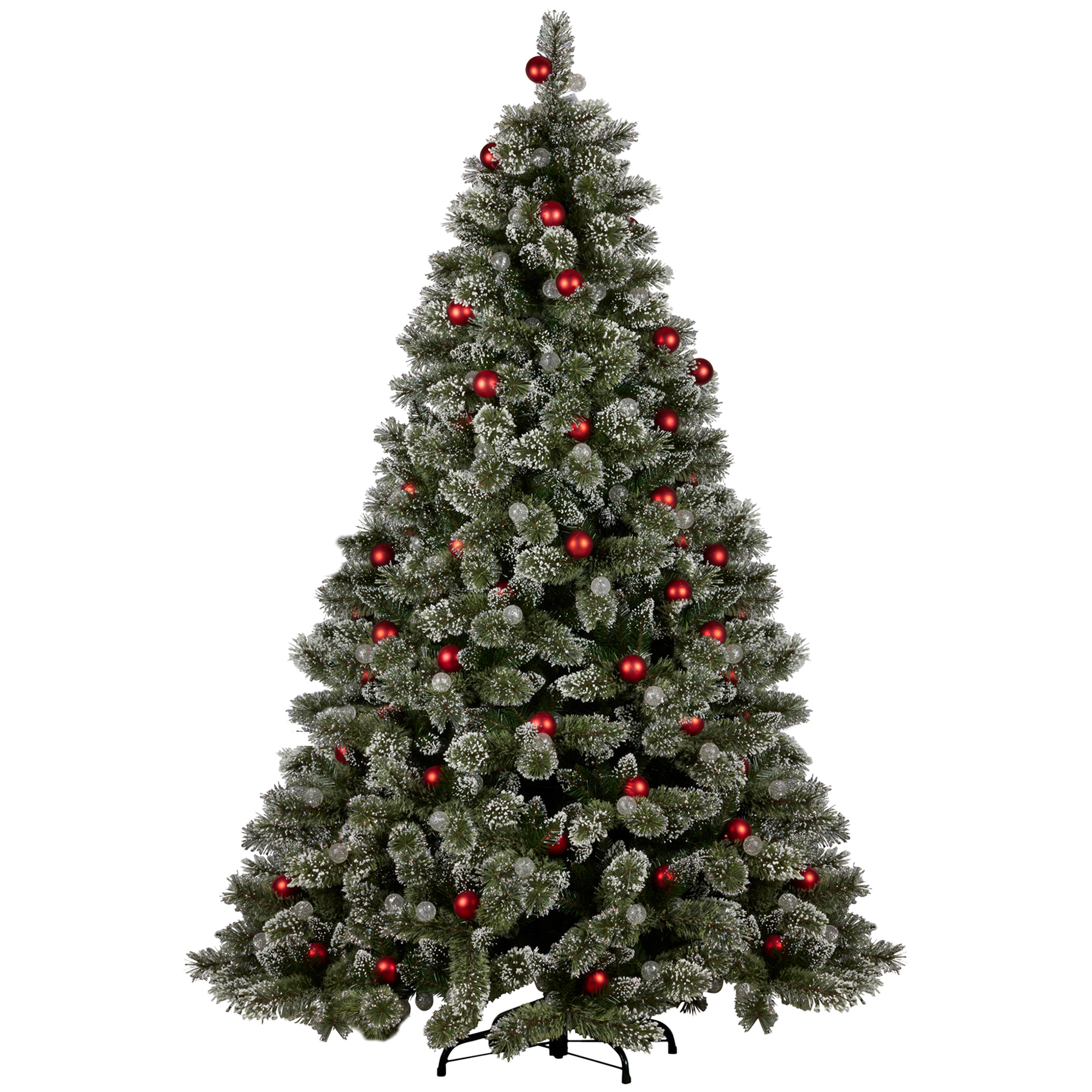 Image 4