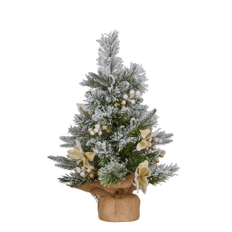 Buy 2ft Christmas Tree with Lights Potted Frosted Colonial MyDeal