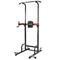 Powertrain Power Tower Chin Abs Dip Pull Up Multistation Home Gym Exercise