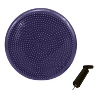 Powertrain Yoga Stability Disc Home Gym Pilate Balance Trainer Purple
