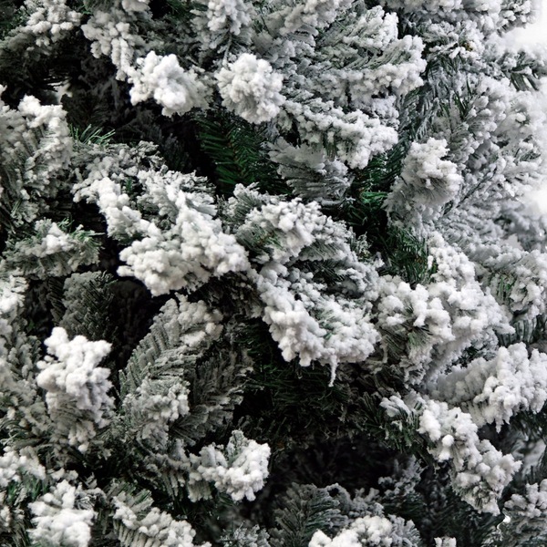 Image 6