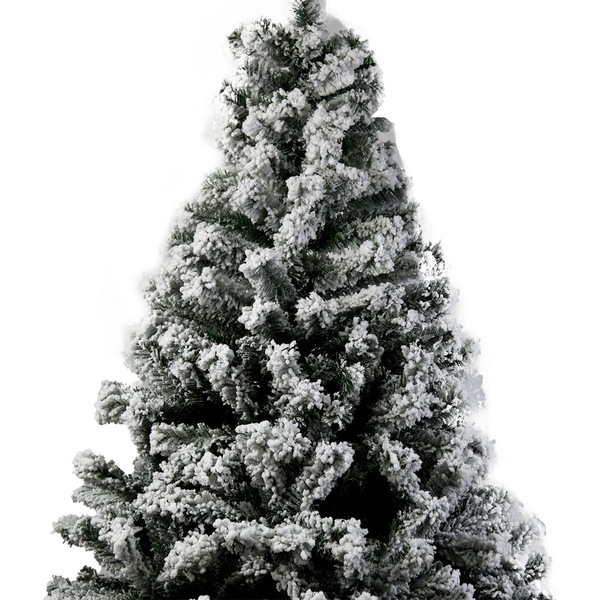 Image 4