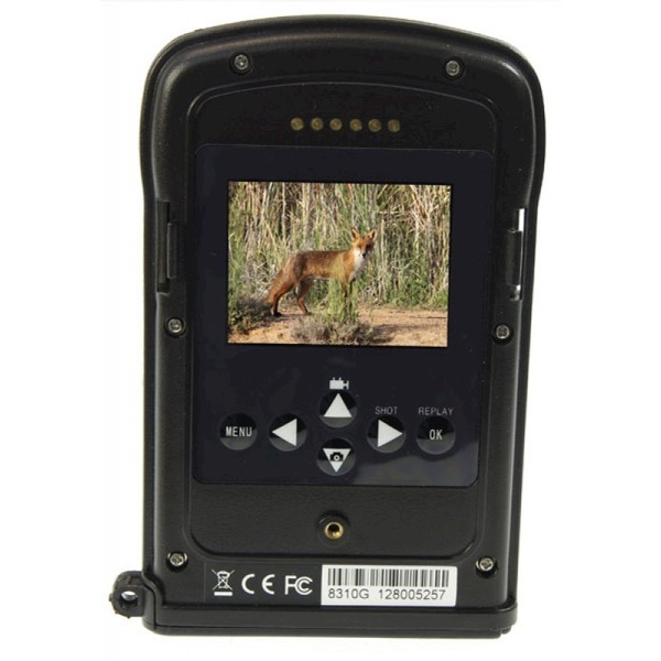 Image 5