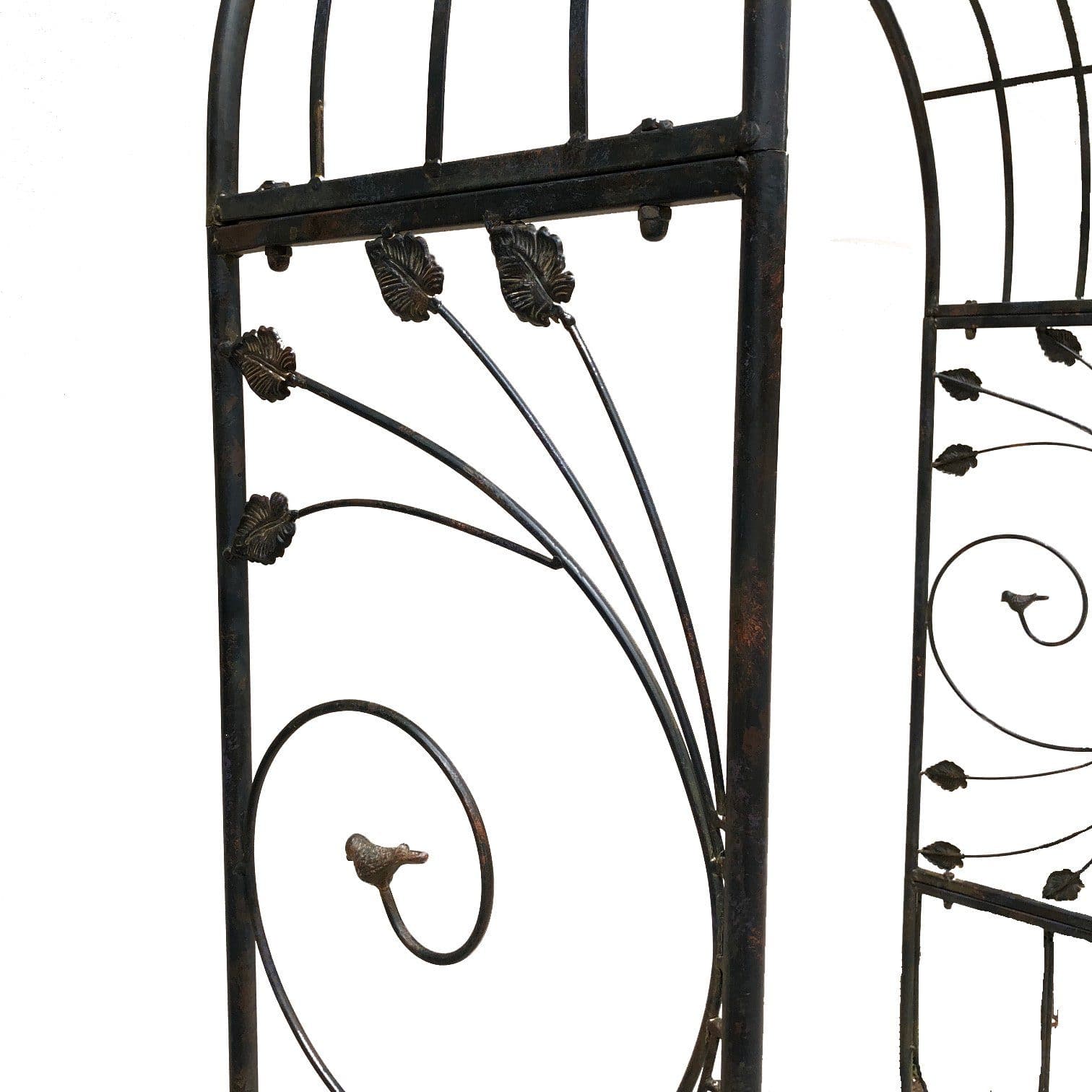 Image 7