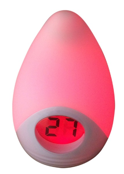 Image 4