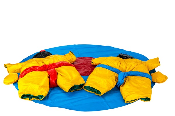 Image 2